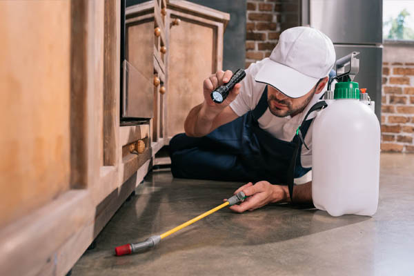 Pest control technician on the job